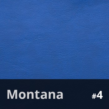 Montana 47